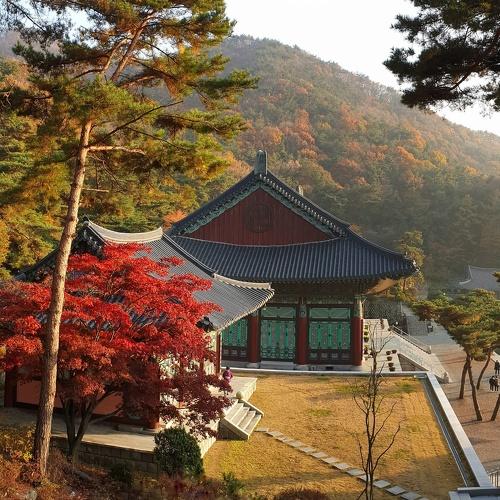 Photo #5091830