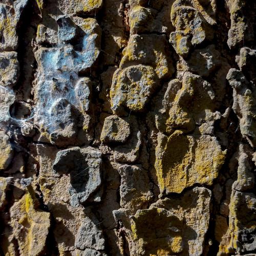 Photo #5092161