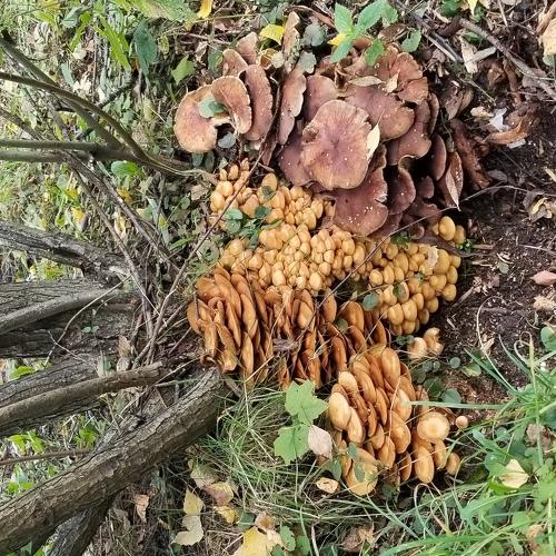 Photo #5092191