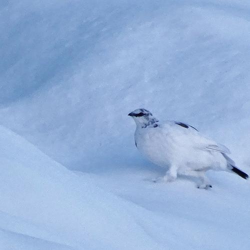 Photo #5092444