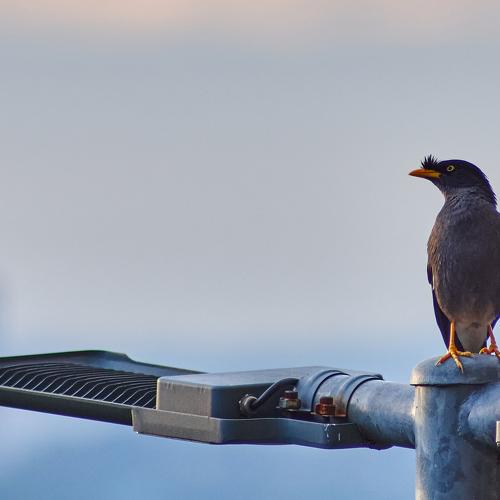 Photo #5092671