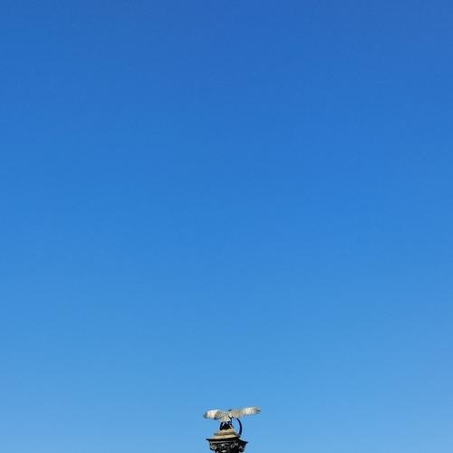 Photo #5092718