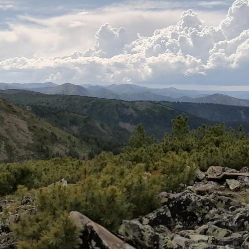 Photo #5092721