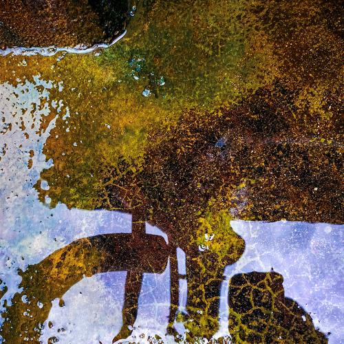 Photo #5092747