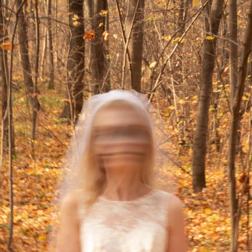 Photo #5092771