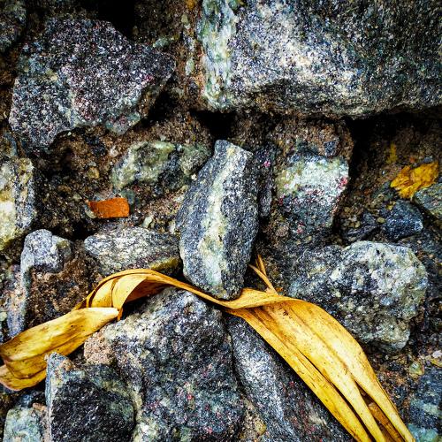 Photo #5092783