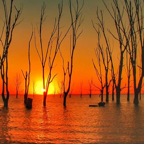 Atardecer en el lago