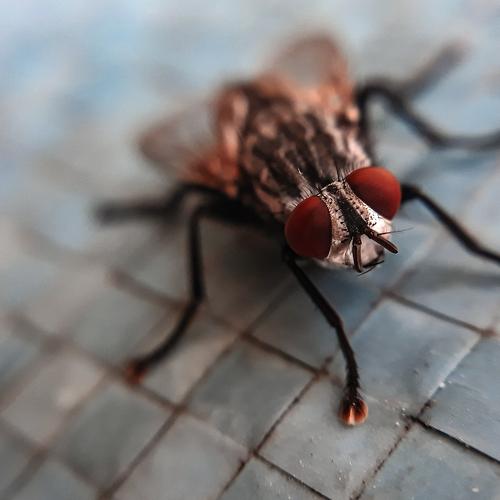 Photo #5093085