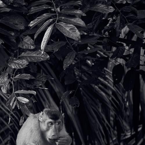 Photo #5093193