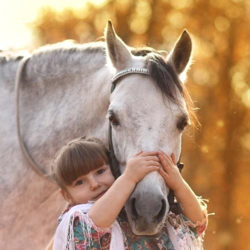 Photo #5093349