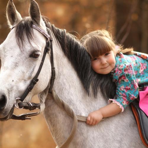 Photo #5093351