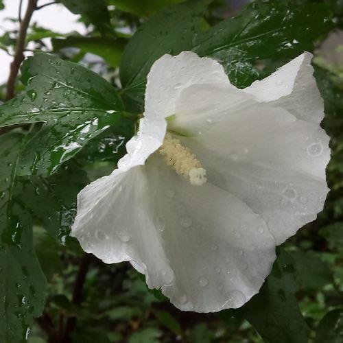 Photo #5093598
