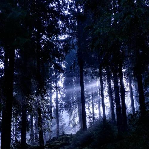 Photo #5094041