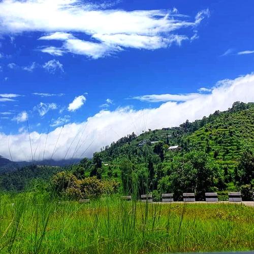 Photo #5094069
