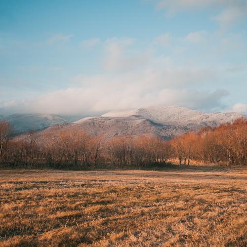 Photo #5094071