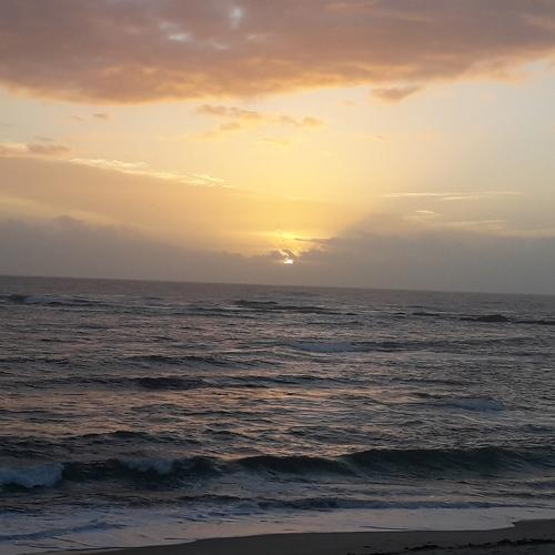 Photo #5094188