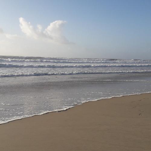 Photo #5094189