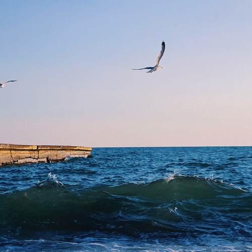 Photo #5094510