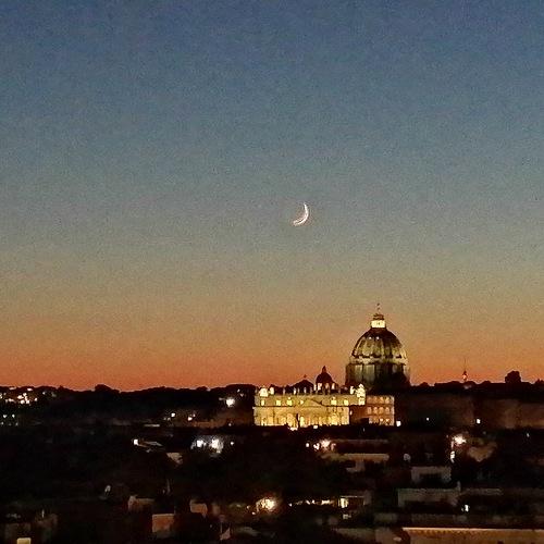 Photo #5094779
