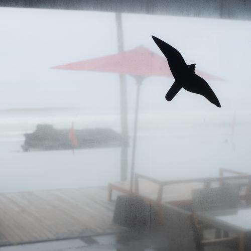 Photo #5095054