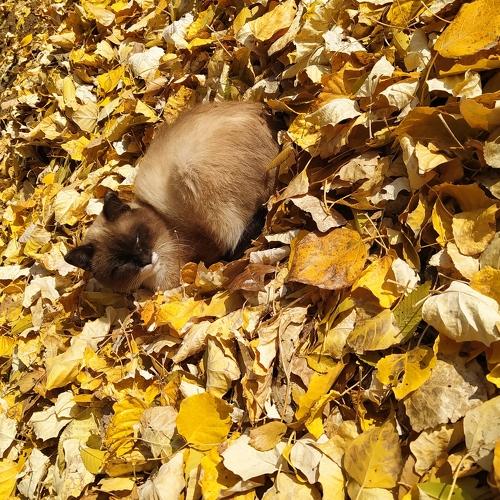 Photo #5095579