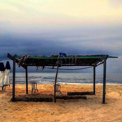 Photo #5096146