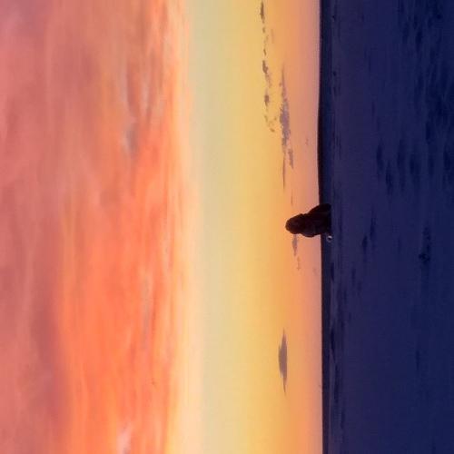 Photo #5096986