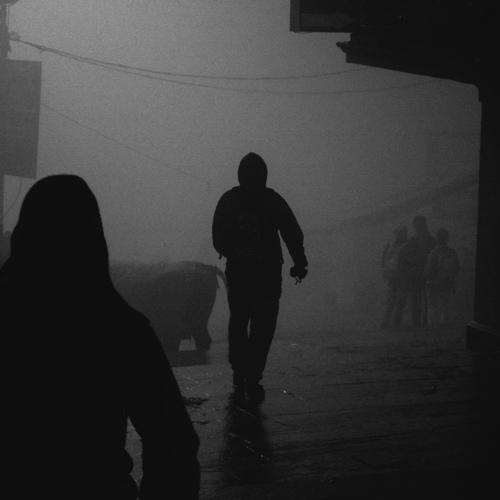 Photo #5097440