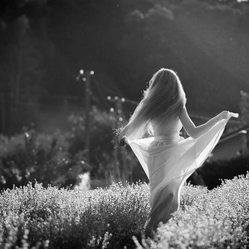 Photo #5097651