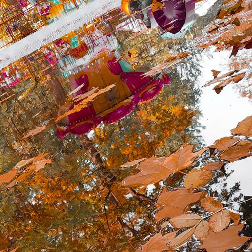 Photo #5097686