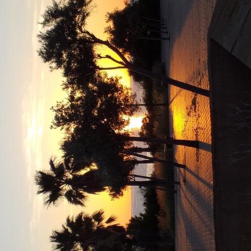 Photo #5097728
