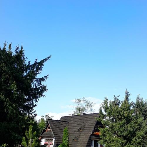 Photo #5097906
