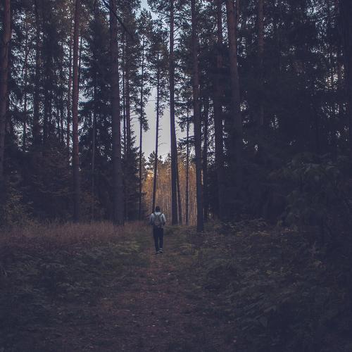 Photo #5098076