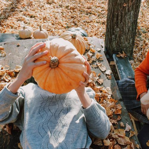 Photo #5098210