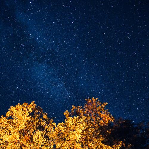 Photo #5098216