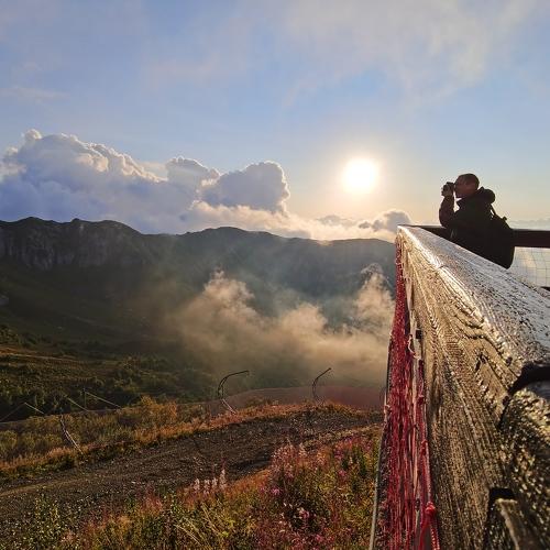 Photo #5098281