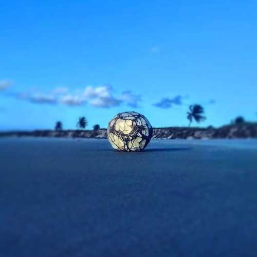 Photo #5098381