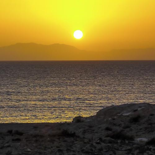 Photo #5098609