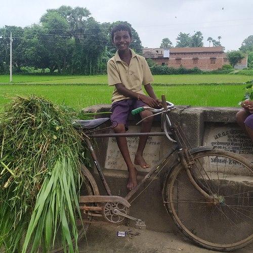 Photo #5098634