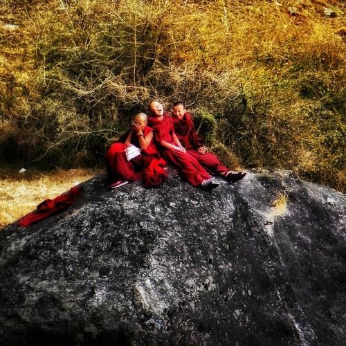 Photo #5099083