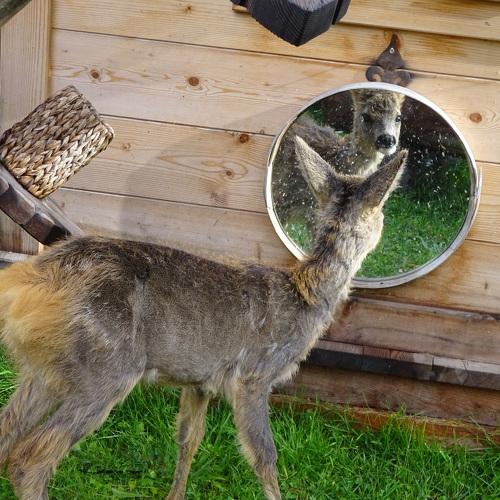 Photo #5099093