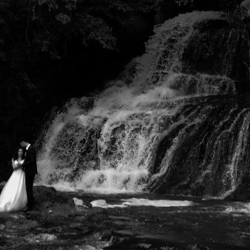 Photo #5099275