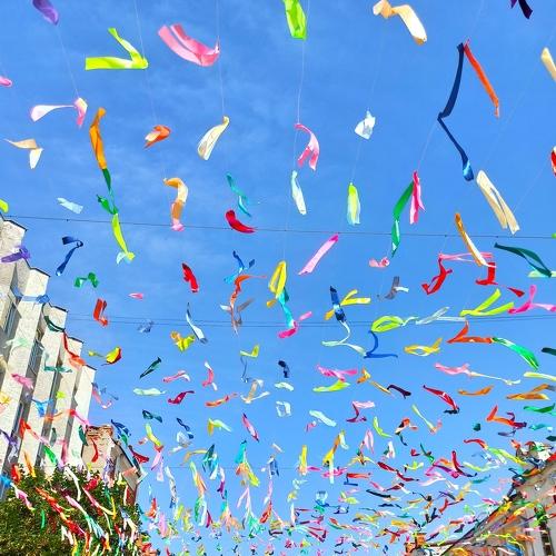 Photo #5099585