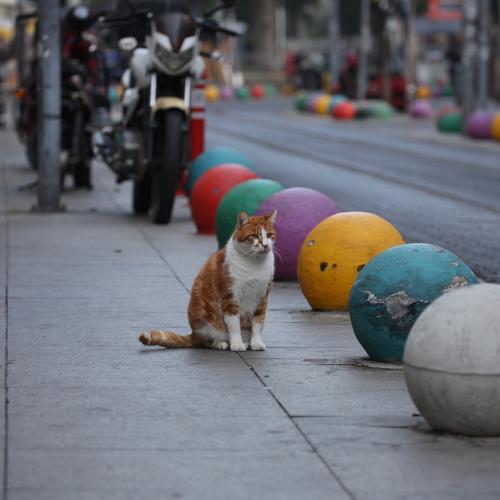 Photo #5099664