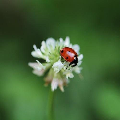Photo #5100130