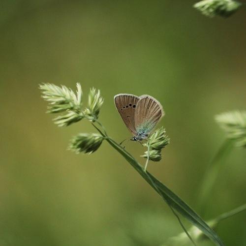 Photo #5100131