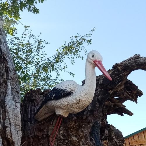 Photo #5100226