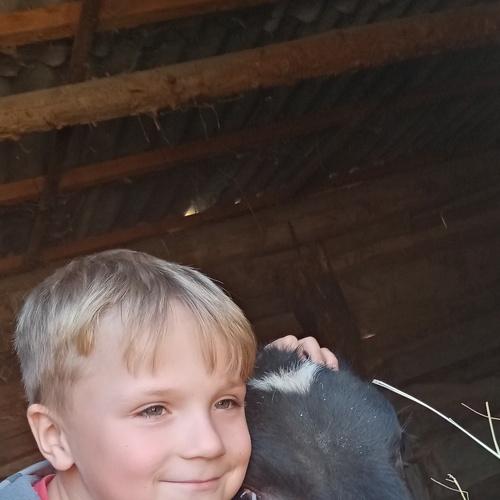 Photo #5100249