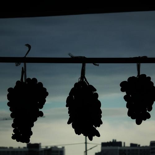 Photo #5100280