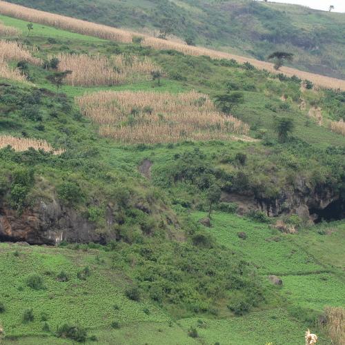 Photo #5100320